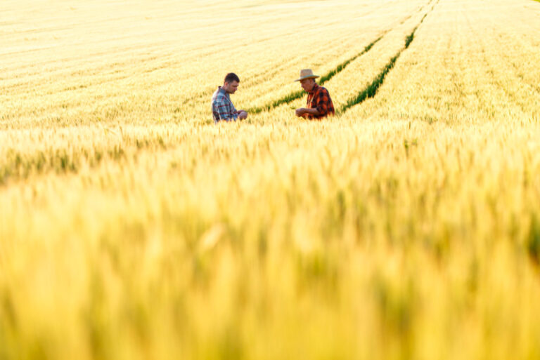 Como funciona a legislação para mão de obra rural?